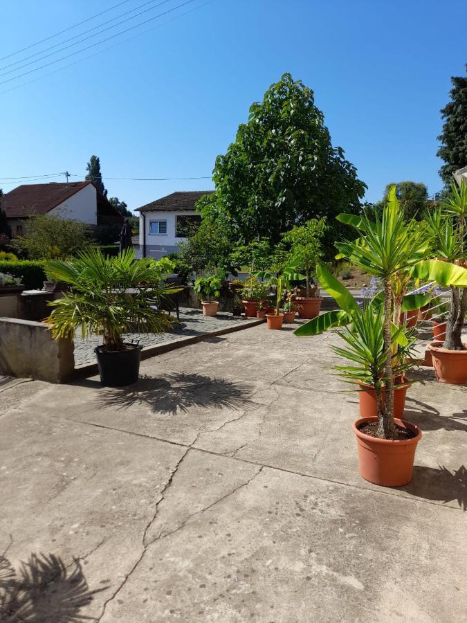 Ferienwohnung "Zum Alten Kuhstall" Oberhausen  Esterno foto