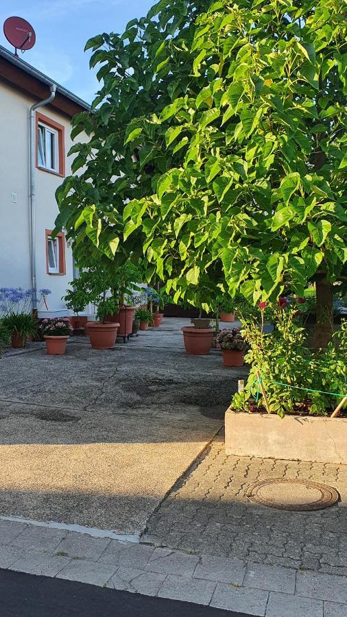 Ferienwohnung "Zum Alten Kuhstall" Oberhausen  Esterno foto