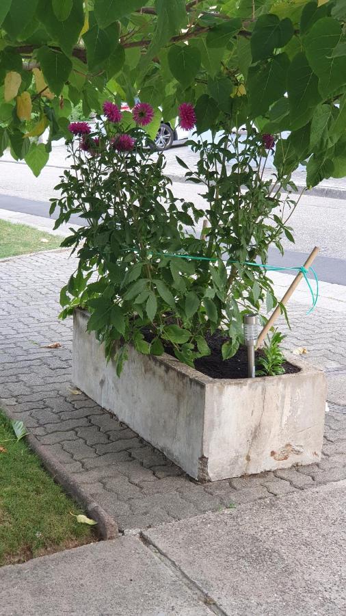 Ferienwohnung "Zum Alten Kuhstall" Oberhausen  Esterno foto