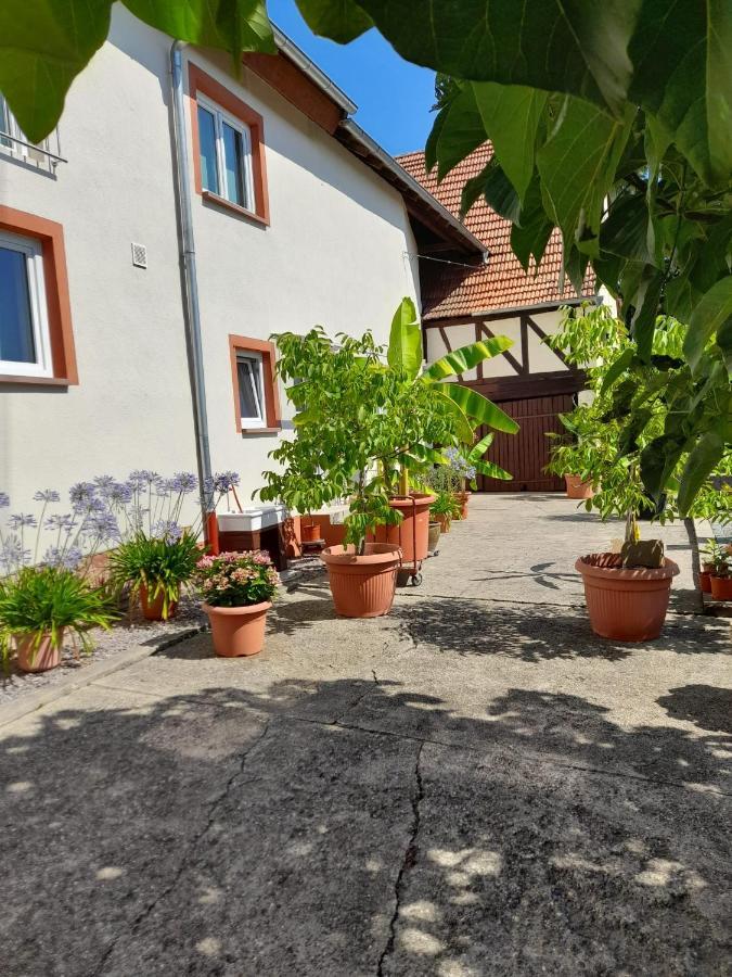 Ferienwohnung "Zum Alten Kuhstall" Oberhausen  Esterno foto