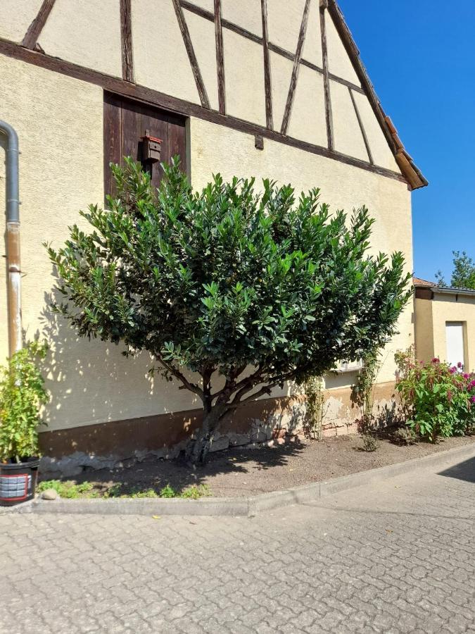 Ferienwohnung "Zum Alten Kuhstall" Oberhausen  Esterno foto