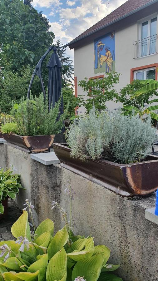 Ferienwohnung "Zum Alten Kuhstall" Oberhausen  Esterno foto